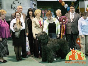 Лучшая собака выставки Кубок-Сибири 2012