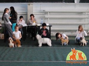 Участники конкурса «Ребенок и собака»