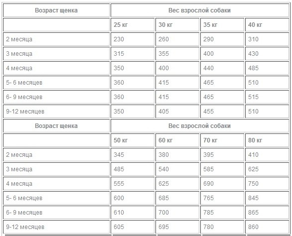 Нормы кормления щенка